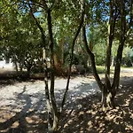 Laurus Apartament