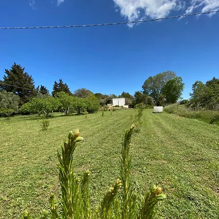 Laurus Apartmán Torre dell'Orso