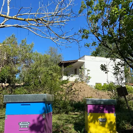 Laurus Apartmán Torre dell'Orso