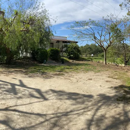 Laurus Torre dell'Orso