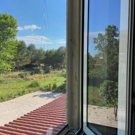 Laurus Torre dell'Orso