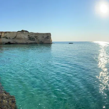 Laurus Torre dell'Orso